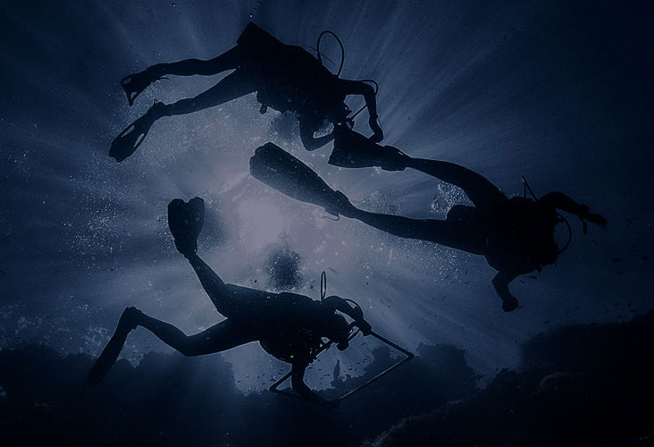 Current Marine Research Projects