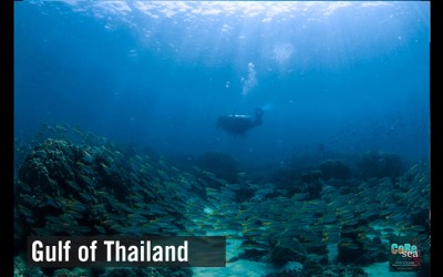 About the state of health of the Gulf of Thailand (3)