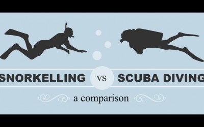Snorkelling vs Scuba diving