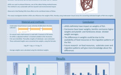 Influence of aFADs on the weight of fishes