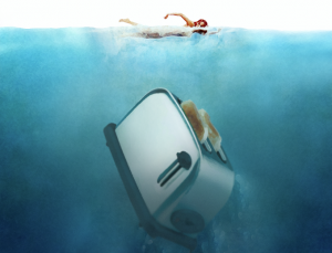 Did you know that you are more likely to be killed by a toaster than by a shark? Its true! Toasters killed nearly 800 people in 2015. Sharks killed 6.